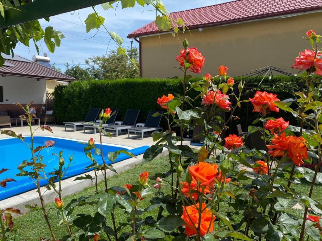 Casa Mateiana Hotel Észak-Eforie Kültér fotó
