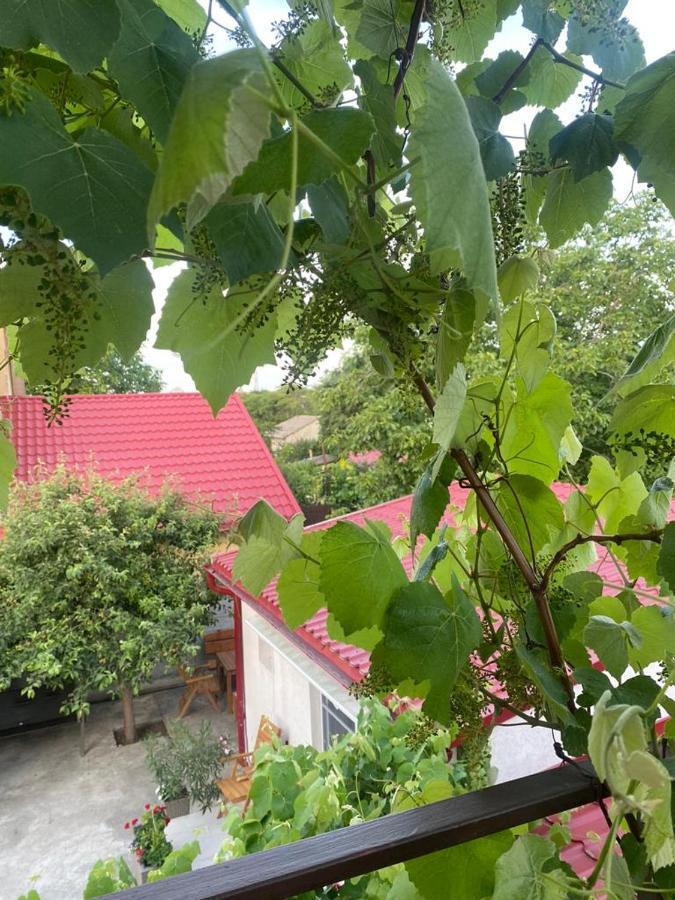 Casa Mateiana Hotel Észak-Eforie Kültér fotó
